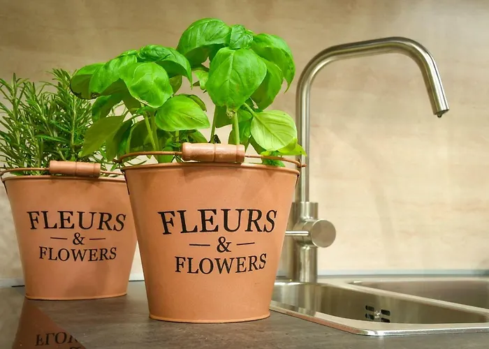 H68 住宿加早餐酒店